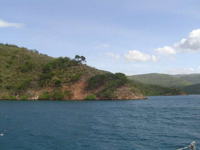 Five Bays