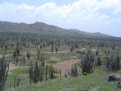 North Bonaire